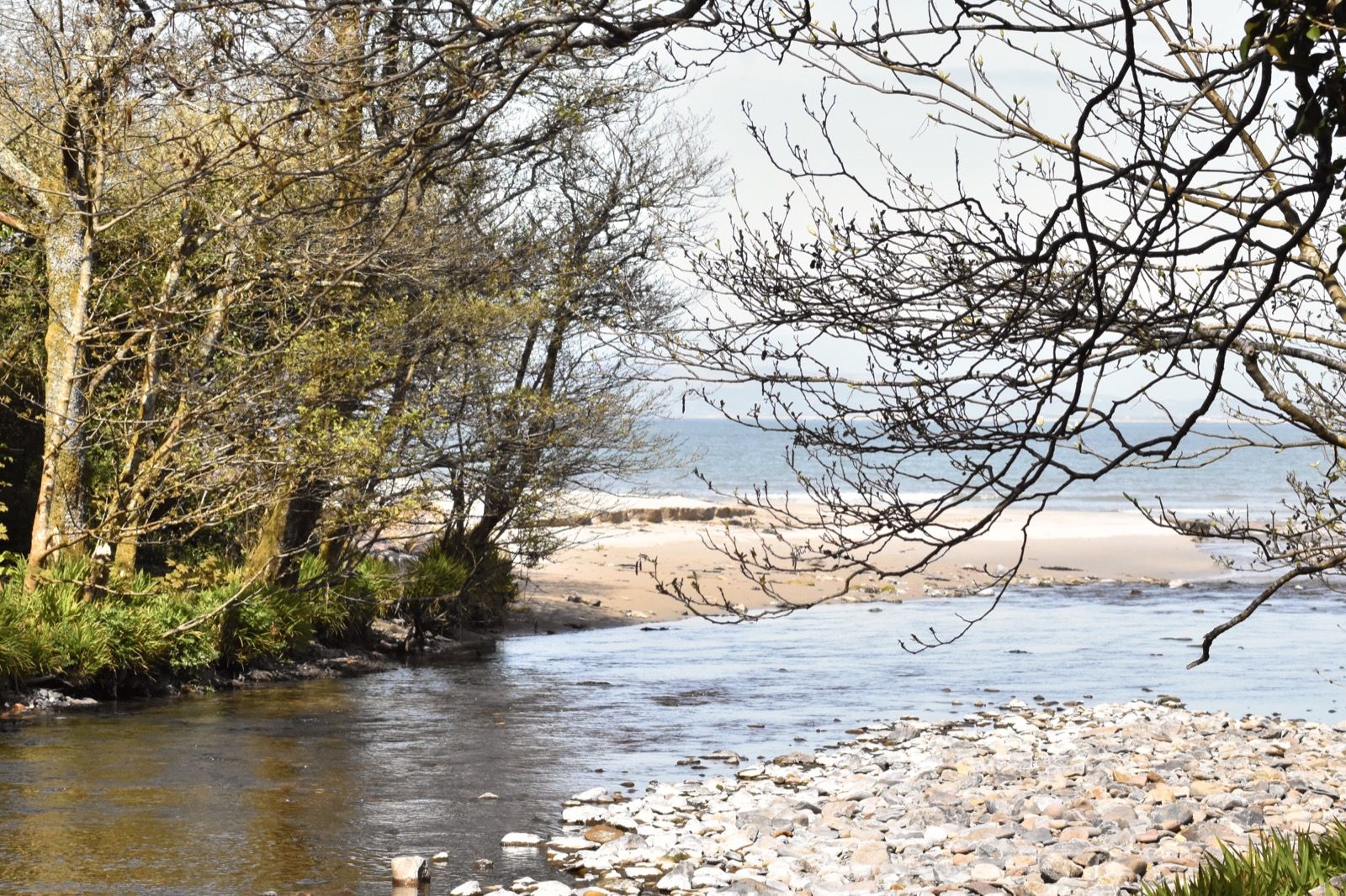 Interior and Exterior Tour Button